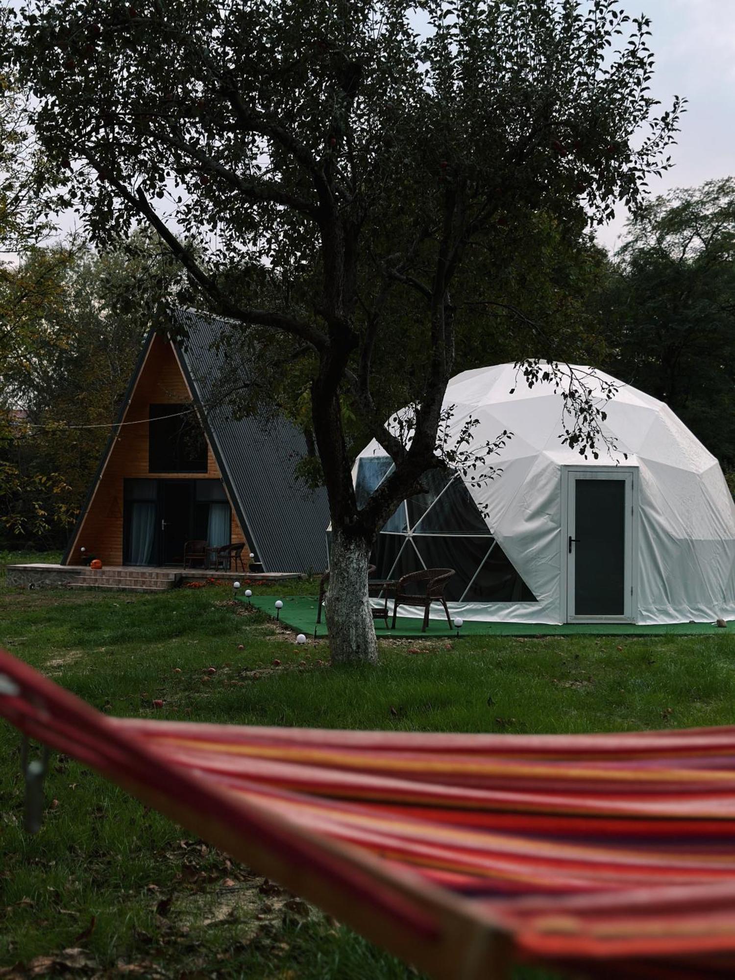 The Frog Glamping Hotel Horezu Kültér fotó