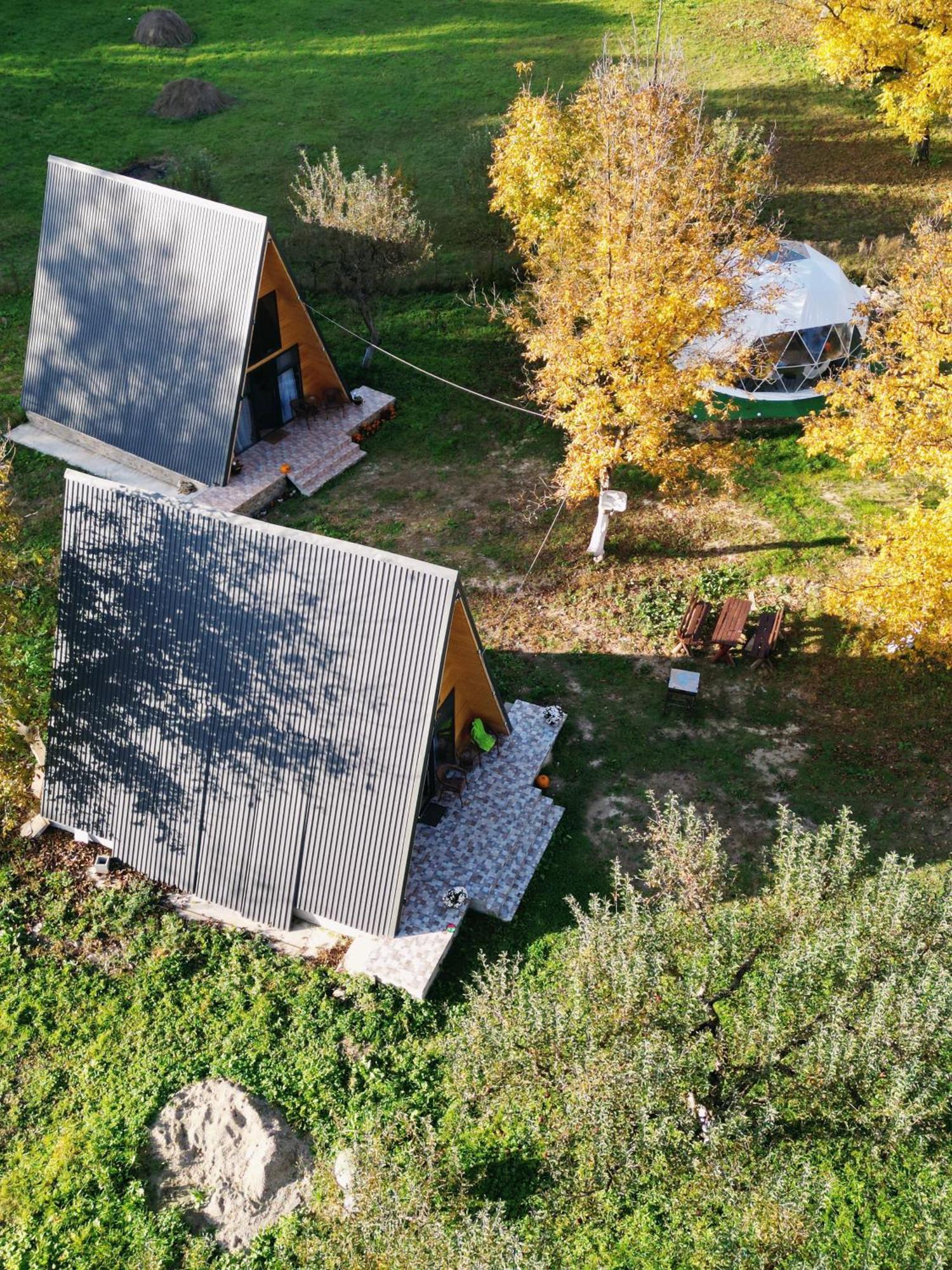 The Frog Glamping Hotel Horezu Kültér fotó