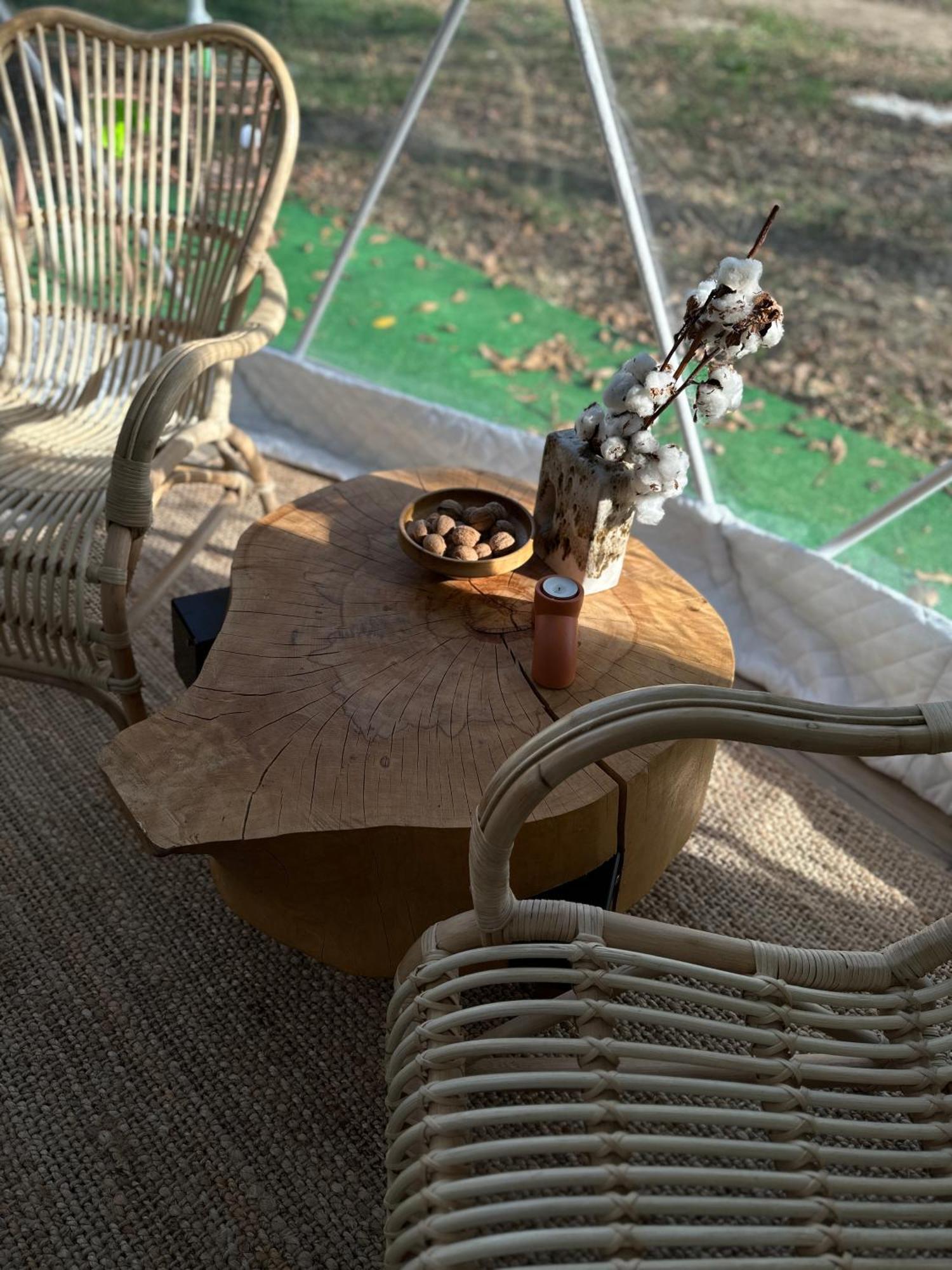 The Frog Glamping Hotel Horezu Kültér fotó