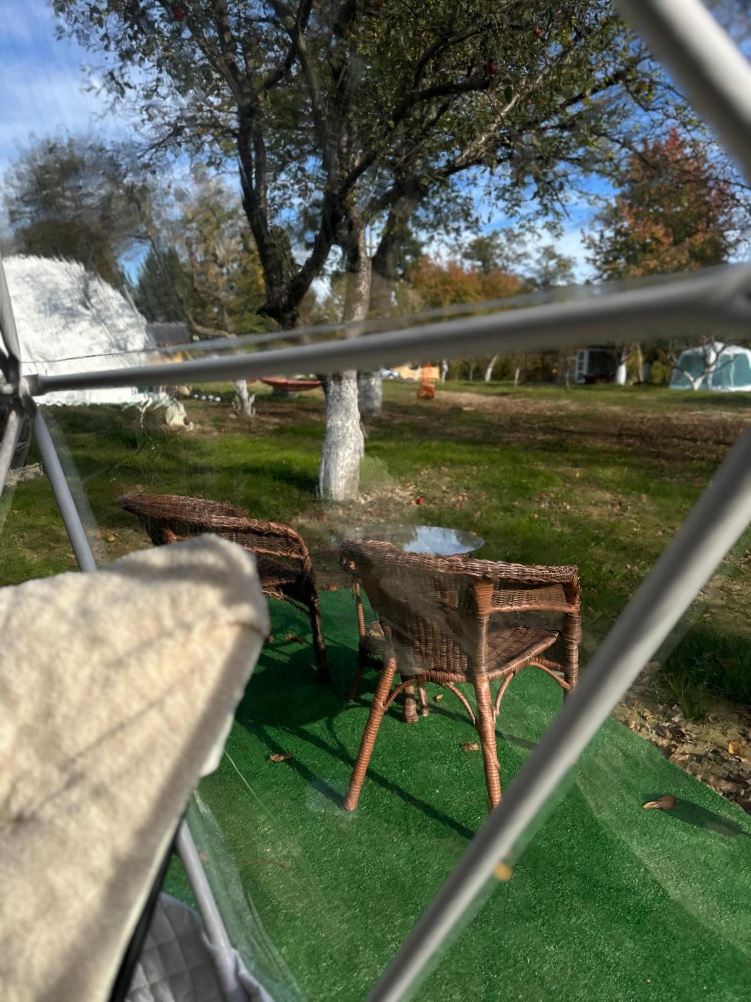 The Frog Glamping Hotel Horezu Kültér fotó