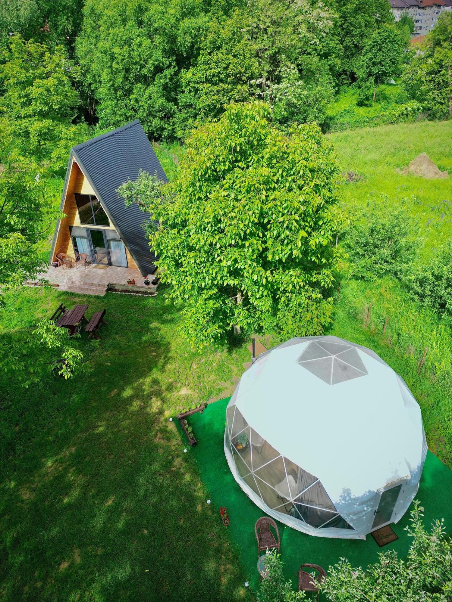 The Frog Glamping Hotel Horezu Kültér fotó