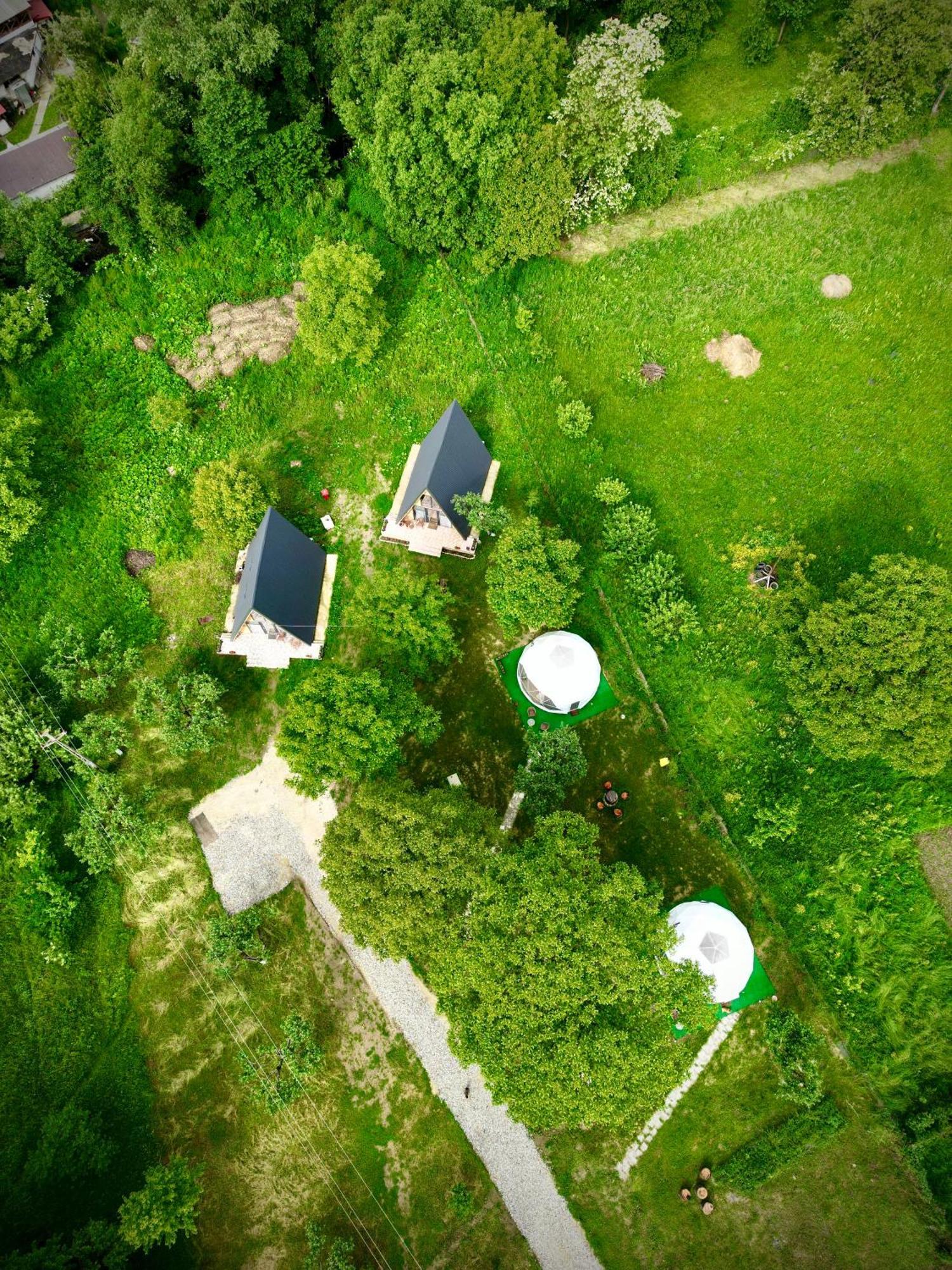 The Frog Glamping Hotel Horezu Kültér fotó