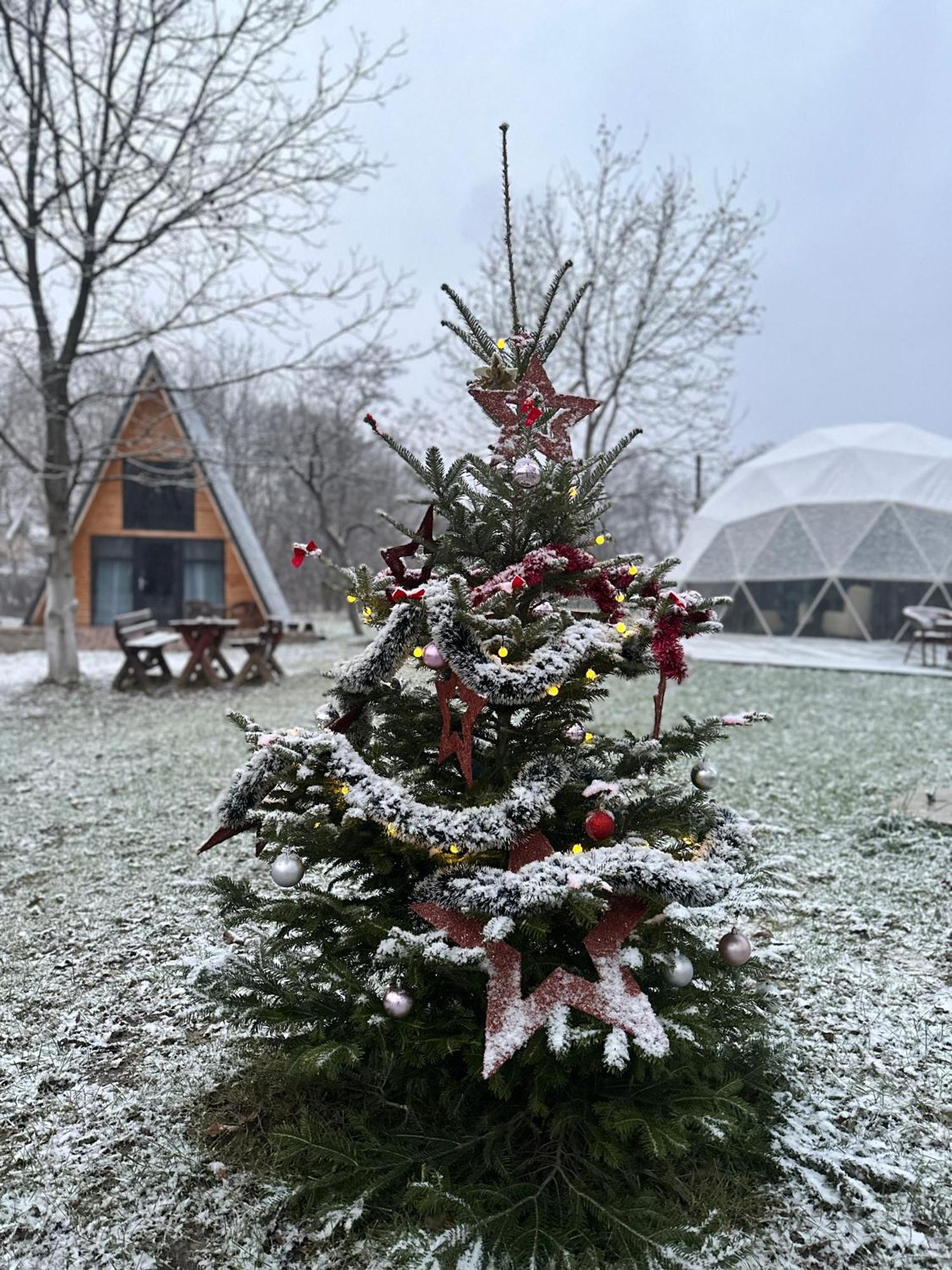 The Frog Glamping Hotel Horezu Kültér fotó