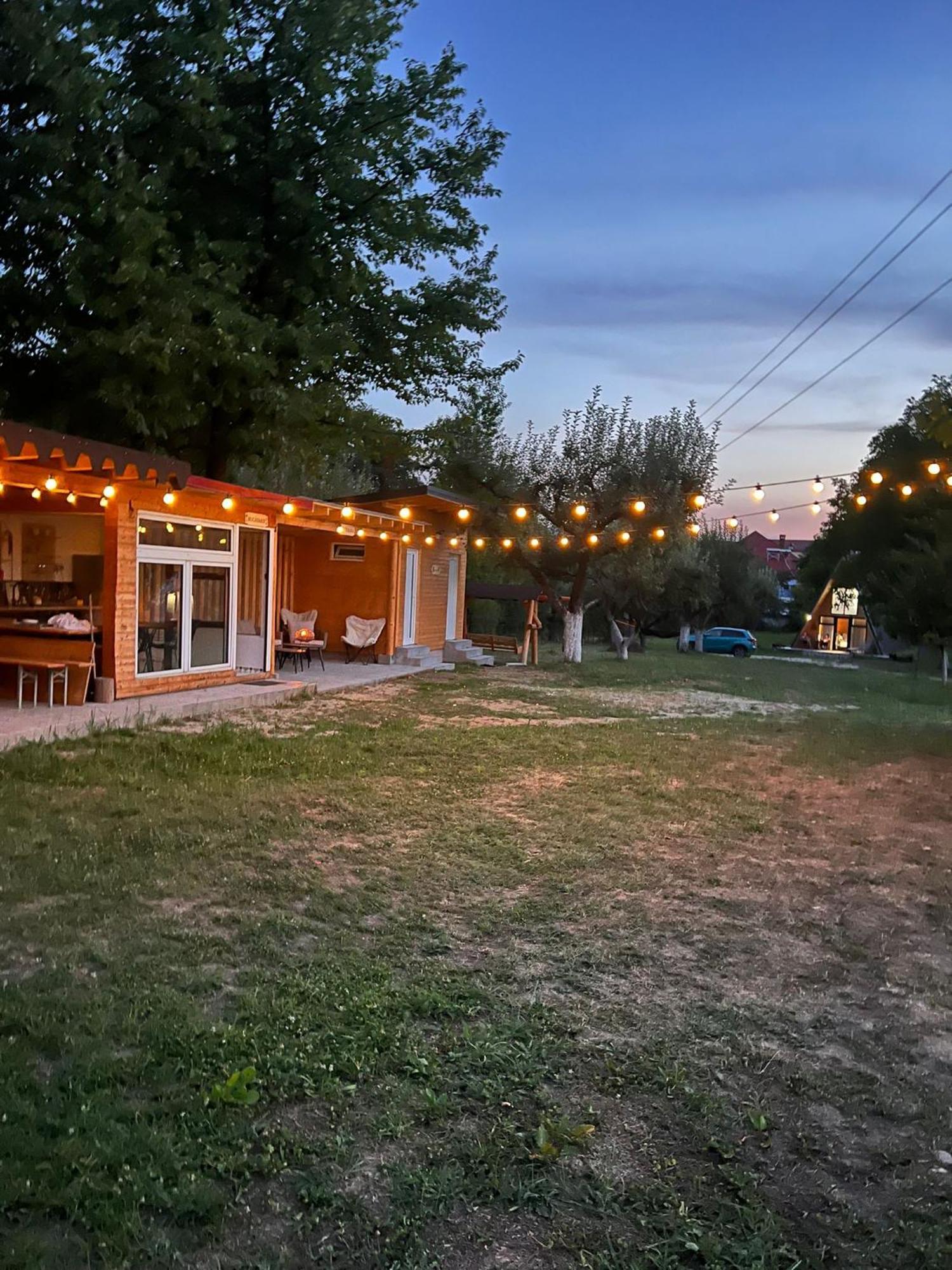 The Frog Glamping Hotel Horezu Kültér fotó
