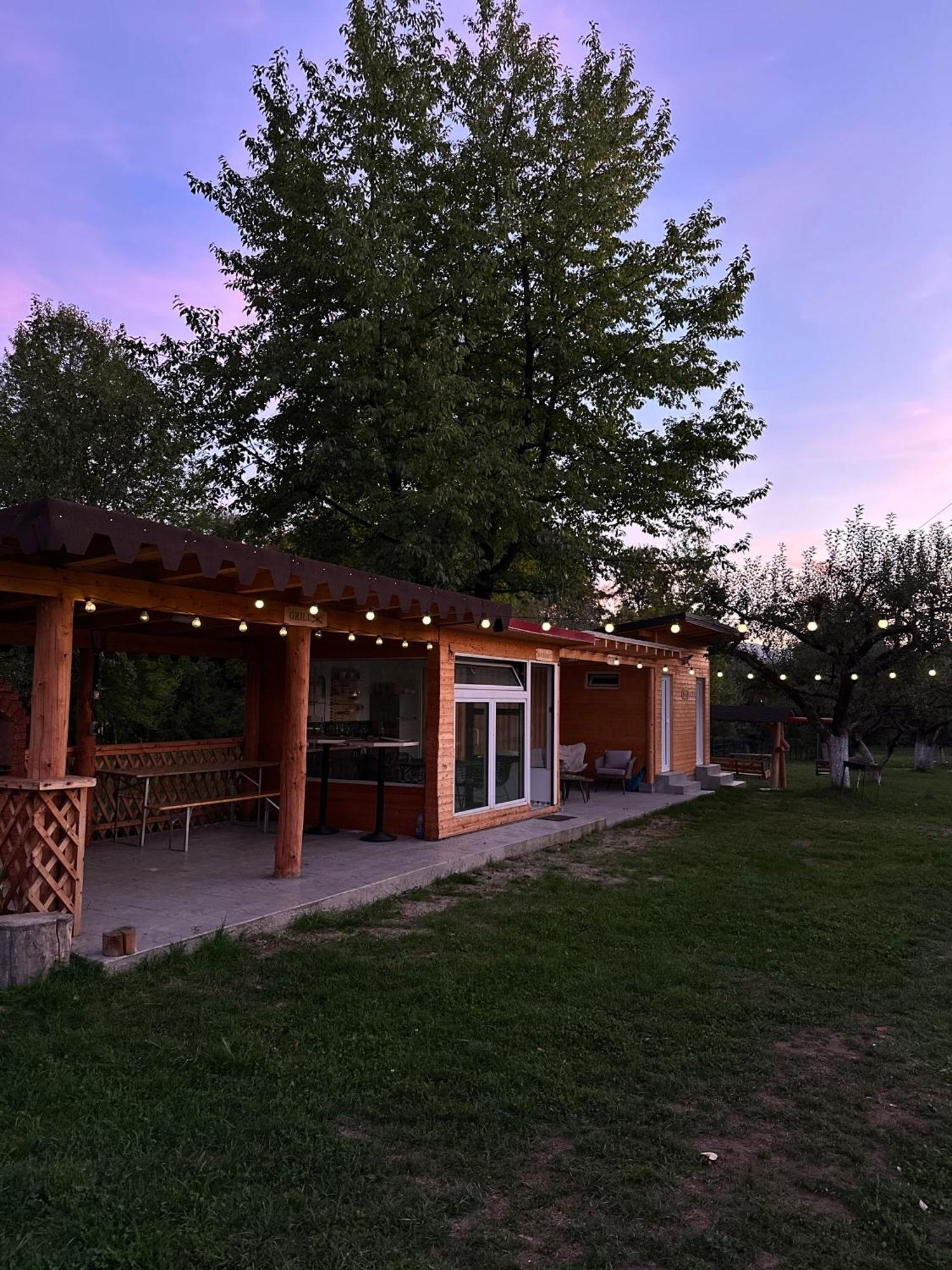 The Frog Glamping Hotel Horezu Kültér fotó