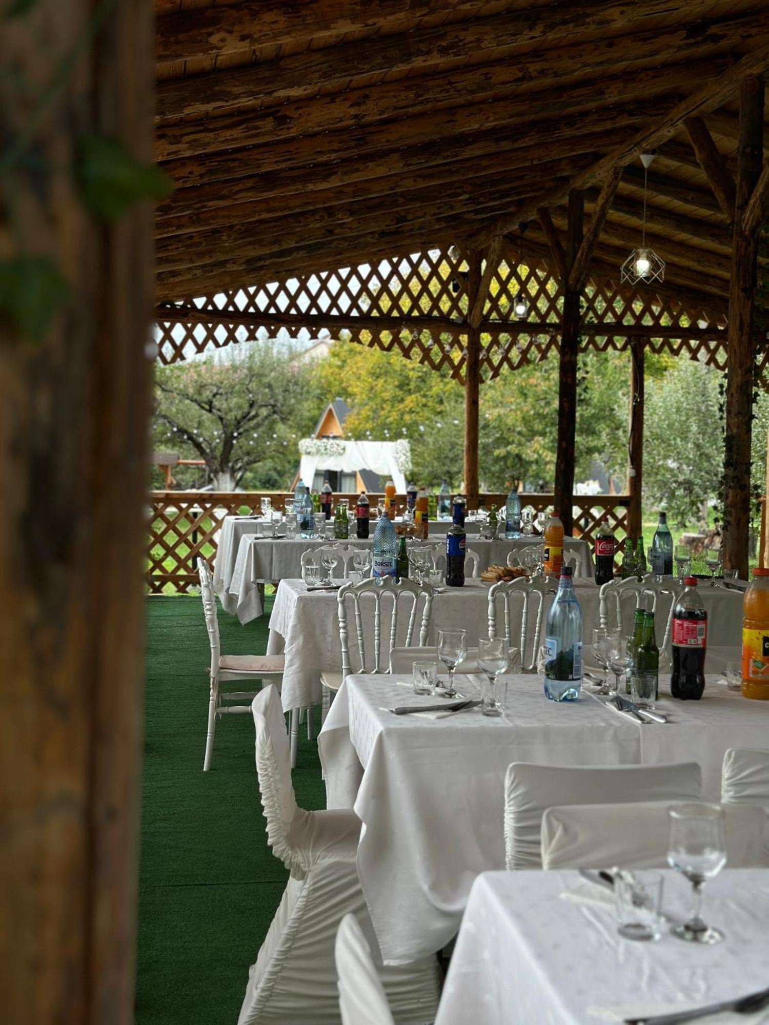 The Frog Glamping Hotel Horezu Kültér fotó